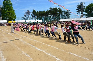 DSC_3949.jpg DSC_3949.jpg