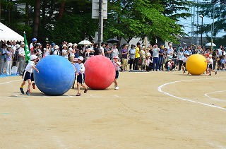 DSC_3979.jpg DSC_3979.jpg