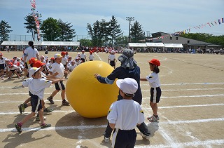 DSC_4016.jpg DSC_4016.jpg