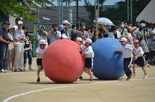 DSC_4024.jpg DSC_4024.jpg
