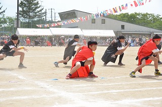 DSC_4185.jpg DSC_4185.jpg