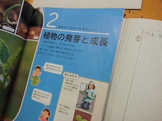 033.jpg 033.jpg