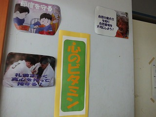 017.jpg 017.jpg