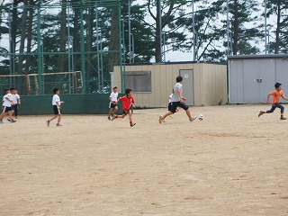 019.jpg 019.jpg