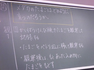 045.jpg 045.jpg