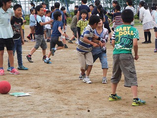 017.jpg