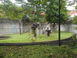 P6184463.jpg