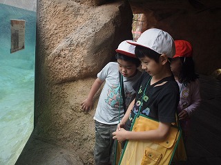P6184460.jpg