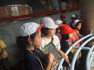 P6184470.jpg