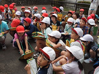 P6184490.jpg