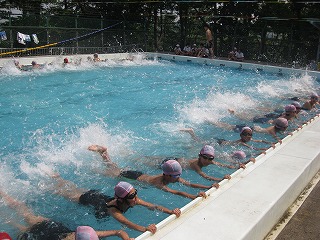 IMG_1912.jpg