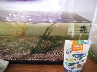 010.jpg 010.jpg