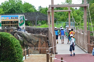 DSC_5359.jpg DSC_5359.jpg
