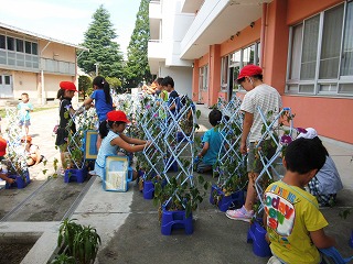 018.jpg 018.jpg