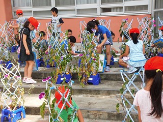 020.jpg 020.jpg