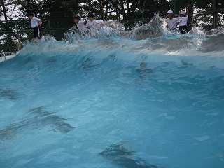 IMG_2023.jpg IMG_2023.jpg