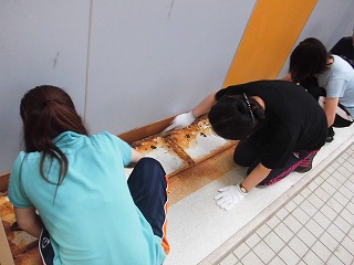 009.jpg 009.jpg
