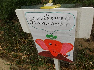 011.jpg