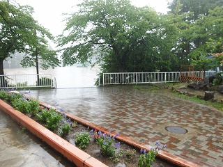 025.jpg 025.jpg