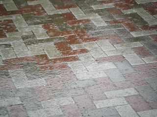 026.jpg 026.jpg