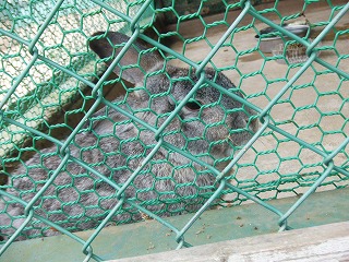 019.jpg 019.jpg