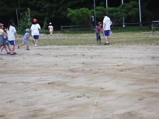 031.jpg