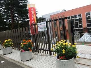 009.jpg