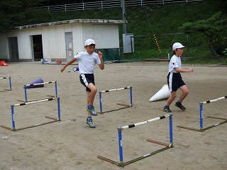 028.jpg 028.jpg