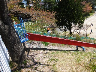 035.jpg
