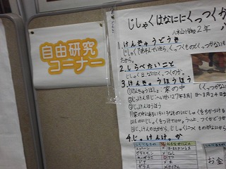 010.jpg