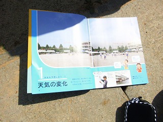 031.jpg