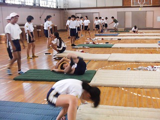 027.jpg 027.jpg