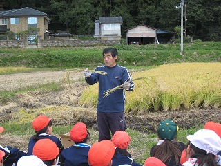 IMG_8186.jpg IMG_8186.jpg