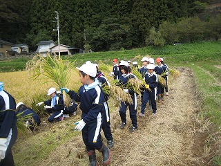 IMG_8190.jpg IMG_8190.jpg