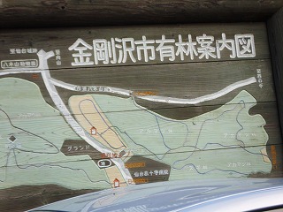 001.jpg 001.jpg