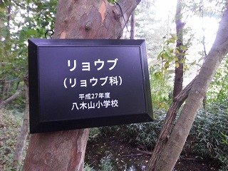 012.jpg 012.jpg