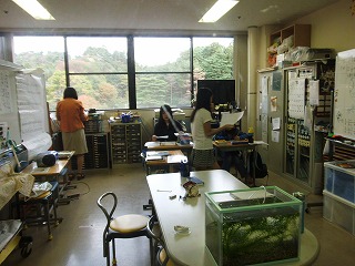 019.jpg 019.jpg