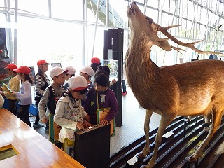 DSCF1210.jpg DSCF1210.jpg