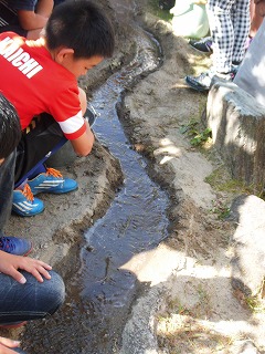 027.jpg 027.jpg