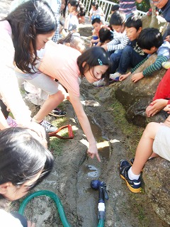 028.jpg 028.jpg