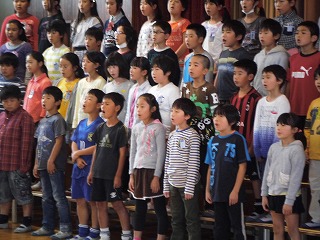 031.jpg 031.jpg