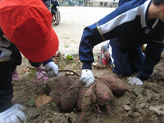 IMG_8736.jpg
