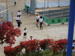 045.jpg 045.jpg