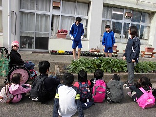 CIMG4879.jpg CIMG4879.jpg