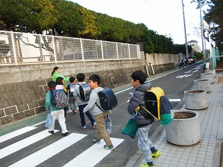 017.jpg 017.jpg