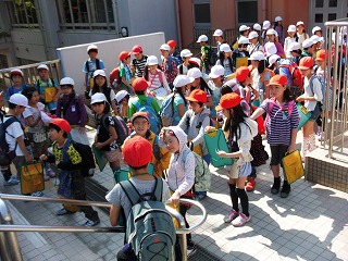 017.jpg 017.jpg