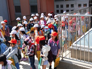 018.jpg 018.jpg