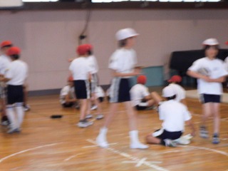029.jpg 029.jpg