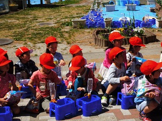 051.jpg 051.jpg