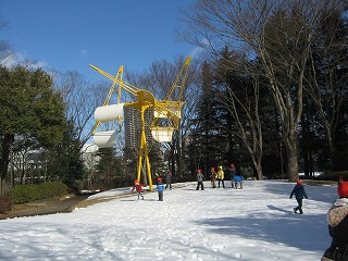IMG_8928.jpg